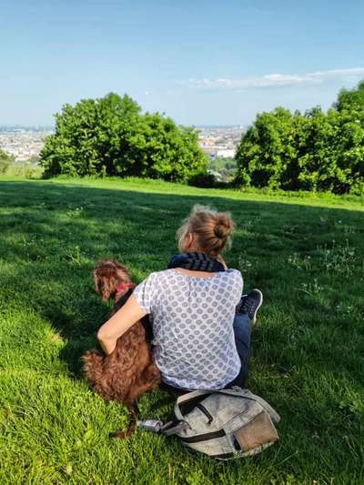 Dogorama Photo Challenge - schönster Gassiausblick-Beitrag-Bild