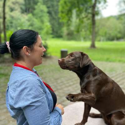 Hundetreffen-Spielstunde-Profilbild