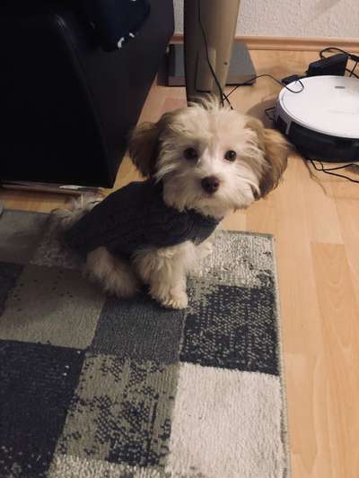 Challenge Nr. 10: "Das schönste Lächeln"-Beitrag-Bild