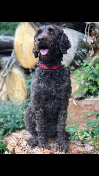 Fotowettbewerb Natur-Beitrag-Bild