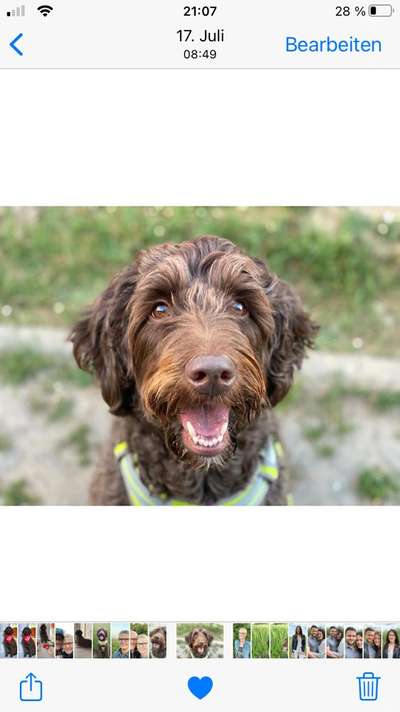 Fotochallange Nr. 57     PORTRÄT.   Beendet!!!!!!!!-Beitrag-Bild