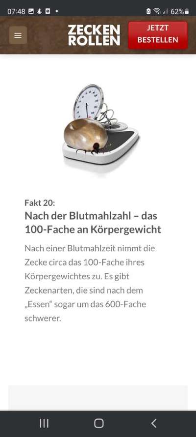 Wer kennt dieses Tier?-Beitrag-Bild