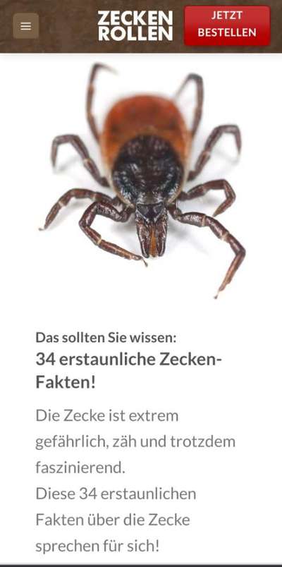 Wer kennt dieses Tier?-Beitrag-Bild