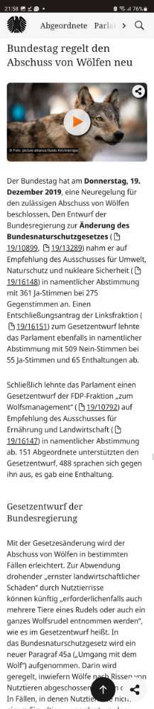 Wolfsbegegnung-Beitrag-Bild