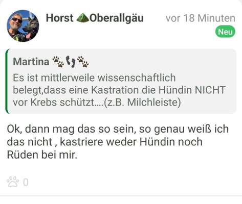 Rüde lässt Weibchen nicht mehr in Ruhe-Beitrag-Bild