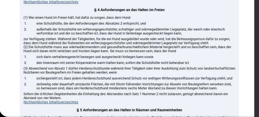 Hundekleidung (nicht nur für Pudel) bei nass/kaltem Wetter-Beitrag-Bild