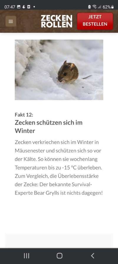 Wer kennt dieses Tier?-Beitrag-Bild