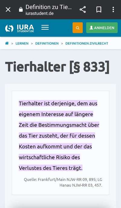 Besitzer nimmt Hunde nicht zurück-Beitrag-Bild