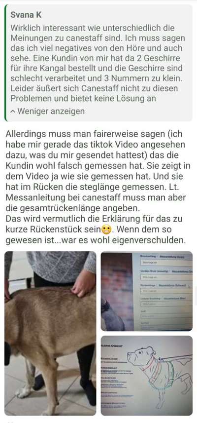 Stabiles Hundehalsband (am besten mit Haltegriff) gesucht-Beitrag-Bild