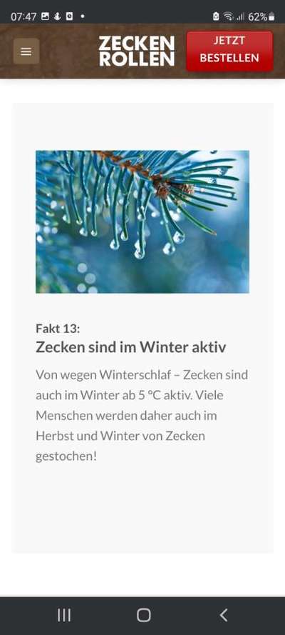 Wer kennt dieses Tier?-Beitrag-Bild