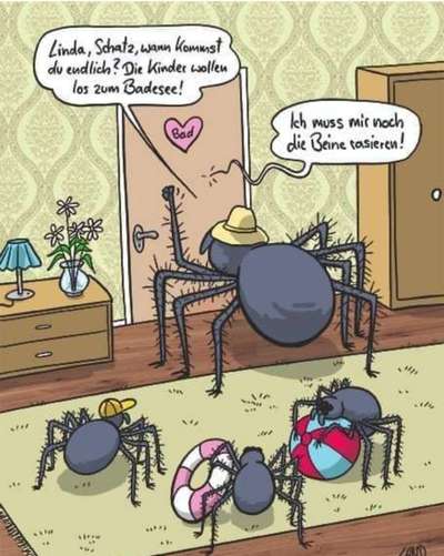 Wer kennt dieses Tier?-Beitrag-Bild