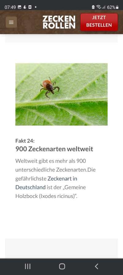 Wer kennt dieses Tier?-Beitrag-Bild