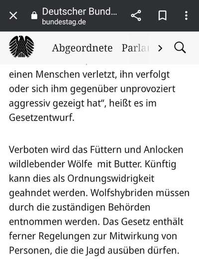 Wolfsbegegnung-Beitrag-Bild