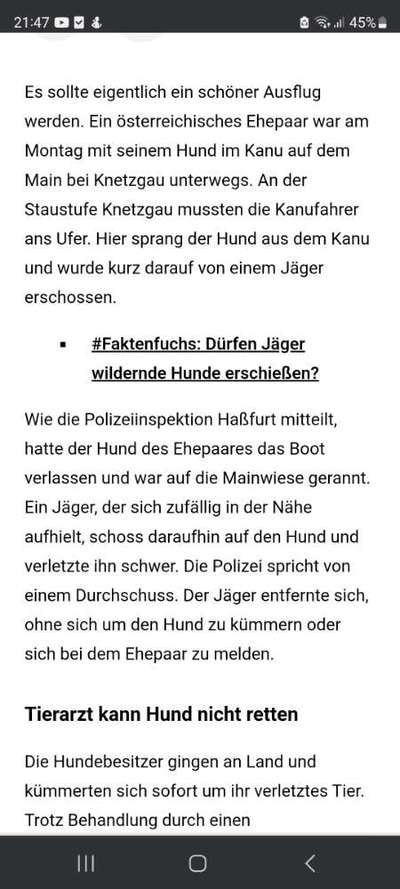 Leinenpflicht während Brut und Setzzeit-Beitrag-Bild