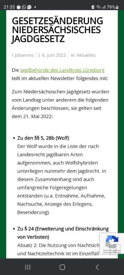 Wolfsbegegnung-Beitrag-Bild