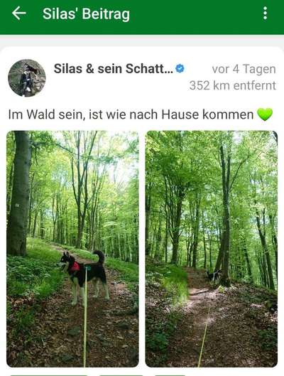 Leinenpflicht während Brut und Setzzeit-Beitrag-Bild