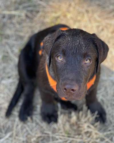 Handy-Foto Challange Nr. 10-Beitrag-Bild