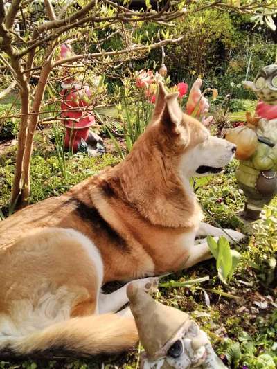 die letzten Jahre mit Malin geniessen.-Beitrag-Bild