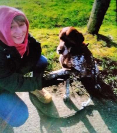 Sind hier Deutsch Kurzhaar/ Jagdhunde?-Beitrag-Bild