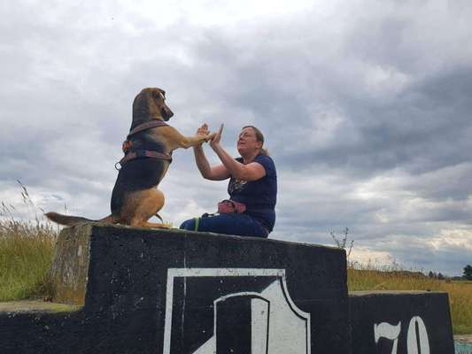 14. Handyfoto-Challenge: "BUDDY-Builder"-Beitrag-Bild