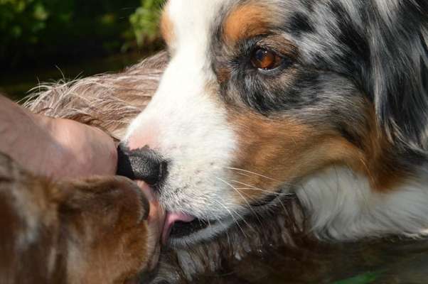 Fotochallenge Nr. 62 Romantische Momente-Beitrag-Bild