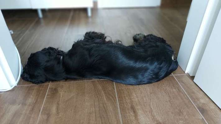 Die unbequemsten und lustigsten Schlafpositionen-Beitrag-Bild