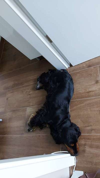 Die unbequemsten und lustigsten Schlafpositionen-Beitrag-Bild