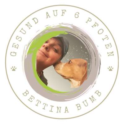 Hundeschulen-Bettina Bumb Gesund auf 6 Pfoten-Bild