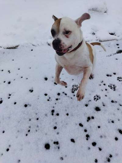 Fotochallange Nr. 57     PORTRÄT.   Beendet!!!!!!!!-Beitrag-Bild