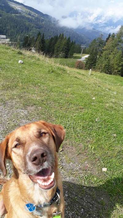 Fotowettbewerb Natur-Beitrag-Bild