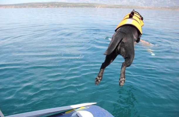 Foto Challenge - BEENDET - bitte aktuelle Challenge nutzen-Beitrag-Bild