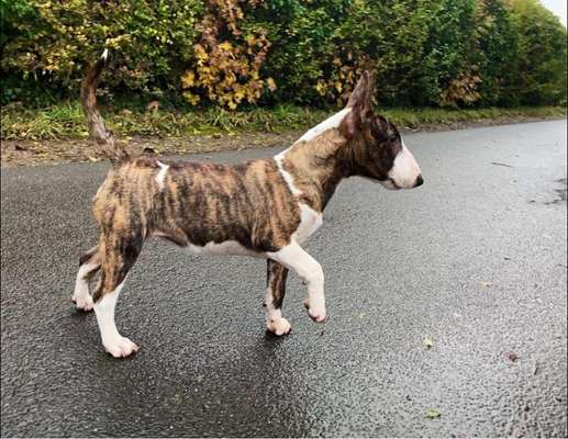 Community-Beitrag-Bild