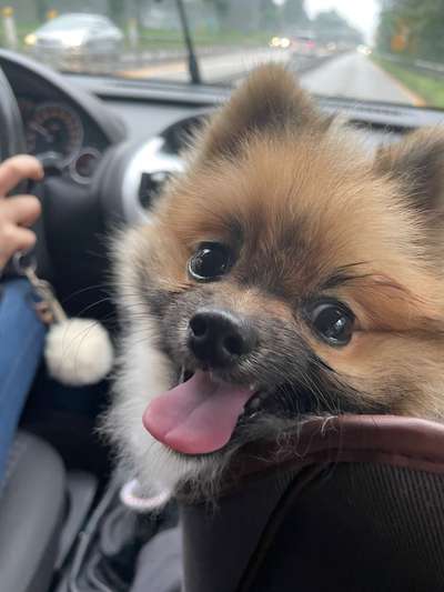 Fotochallange Nr. 57     PORTRÄT.   Beendet!!!!!!!!-Beitrag-Bild