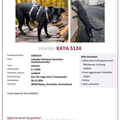 Suchmeldung-Kaya-Bild