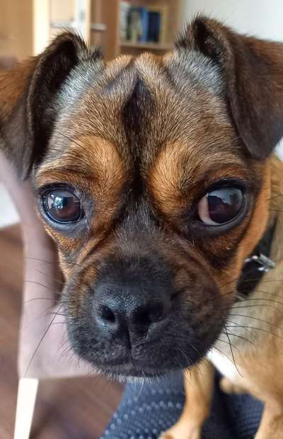 Lieblingsbild :D-Beitrag-Bild