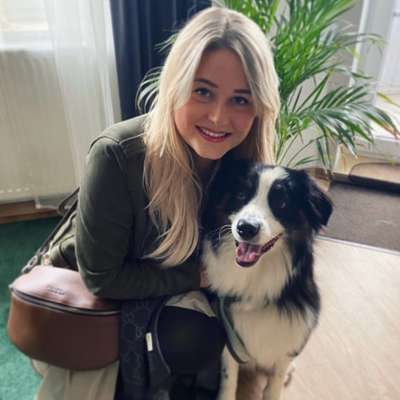 Hundetreffen-Hunde-Treff in Firmenich-Profilbild