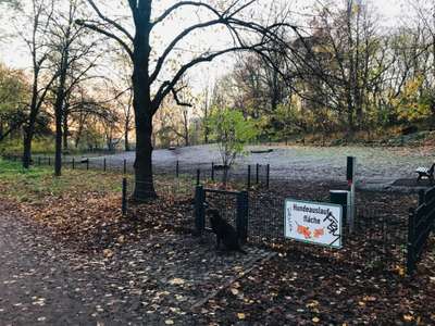 Hundeauslaufgebiet-Volkspark Anton Saefkow-Bild