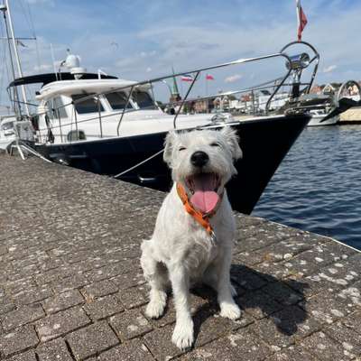 Fotochallenge Nr. 94 It's summer time-Beitrag-Bild