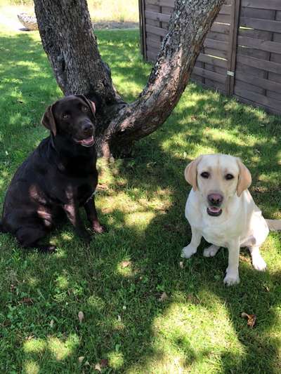 Lieblingsbild-Beitrag-Bild