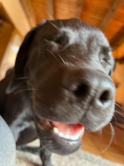 60. Handy Fotochallenge  -gleich schnapp ich es--Beitrag-Bild