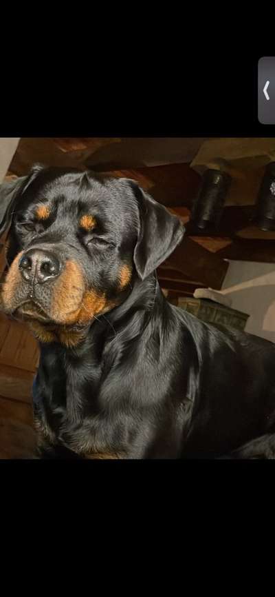 147. Foto Challenge: Bettelblick-Beitrag-Bild