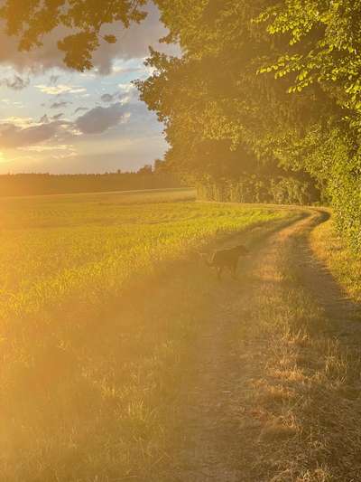 18. Farben Fotochallenge: Sonnenuntergang-Beitrag-Bild