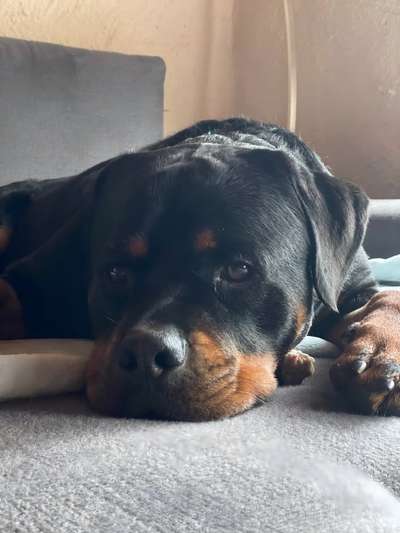 147. Foto Challenge: Bettelblick-Beitrag-Bild