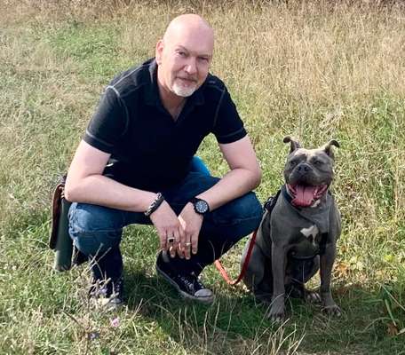 Wo sind meine AMERICAN BULLDOGS?-Beitrag-Bild