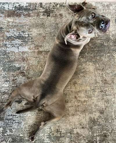 Handy-Foto Challange Nr. 10-Beitrag-Bild