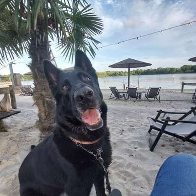 Urlaub in Dänemark-Beitrag-Bild
