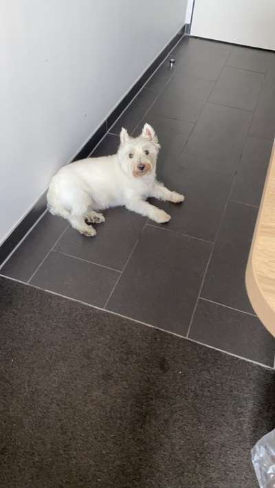 Doppelgänger gesucht !-Beitrag-Bild