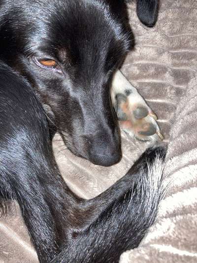 Blick fürs Detail!-Beitrag-Bild