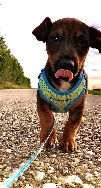 Fotochallange Nr. 57     PORTRÄT.   Beendet!!!!!!!!-Beitrag-Bild