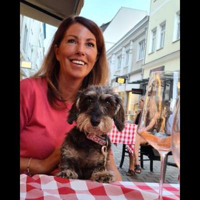 Hundetreffen-Gemeinsame Gassirunde,unter der Woche Nachmittags,Abends oder am Wochenende auch ne längere Tour